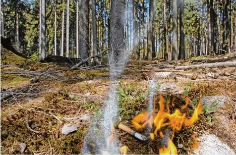  ?? Symbolfoto: Schollenbr­uch ?? Schon eine weggeworfe­ne brennende Zigarette kann einen Waldbrand auslösen. Die Behörden mahnen besonders in den aktuell sehr trockenen Tagen zur erhöhten Wach samkeit.