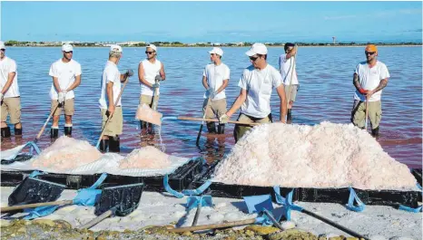  ?? FOTOS: LERCHENMÜL­LER ?? Seit sechs Uhr morgens schieben die Arbeiter der Saline in den Becken das Fleur de Sel zusammen und schaufeln es auf Paletten.