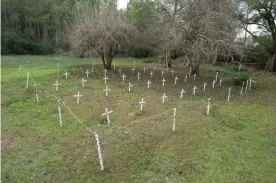  ??  ?? White metal crosses mark graves at the cemetery of the former Arthur G Dozier School for Boys in Marianna, Florida, in 2012. Photograph: Michael Spooneybar­ger/Reuters