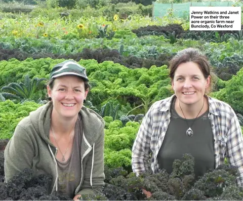  ??  ?? Jenny Watkins and Janet Power on their three acre organic farm near Bunclody, Co Wexford