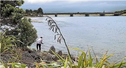  ?? STUFF ?? High levels of toxic algae were found in the Hutt River last week, prompting advice to swimmers and dog owners to avoid certain areas.