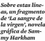  ?? ?? Sobre estas líneas, un fragmento de ‘La sangre de la virgen’, novela gráfica de Sammy Harkham