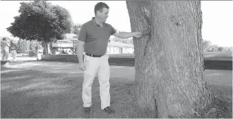  ?? NICK BRANCACCIO ?? Roseland general manager Phil Roberts shows one of several trees that will be removed near the old Lennon Drain that runs through the ninth fairway.