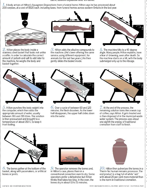 LIQUID CREMATION PressReader