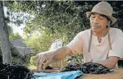  ??  ?? CASH CROP: A farm worker in Madagascar sorts through vanila pods
