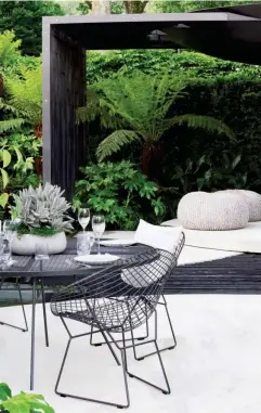  ??  ?? Small spaces can be transforme­d with impactful planting of tree ferns and fatsia japonica