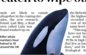  ??  ?? Killer whale numbers have halved to 10 around the UK