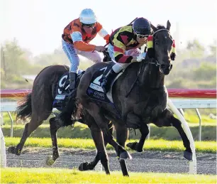  ?? PHOTO: JONNY TURNER ?? Long time coming . . . Yes You Did and BB Hong finally break through for a win together when beating Patricia Rose and Lee Callaway at Wingatui yesterday.