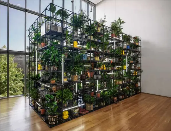  ?? ARTWORK © RASHID JOHNSON. PHOTO © ISABELLA STEWART GARDNER MUSEUM (AMANDA GUERRA/ISABELLA STEWART GARDNER MUSEUM) ?? Rashid Johnson, “Antoine’s Organ,” 2016. Black steel, grow lights, plants, wood, shea butter, books, monitors, rugs, piano.