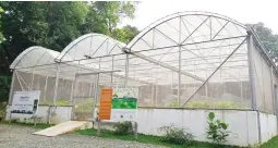  ??  ?? Vegetative Materials Reproducti­on facilities located in Valencia, Negros Oriental and in Antipolo City, propagate 96 threatened native Binhi tree species and prepare them for replanting
