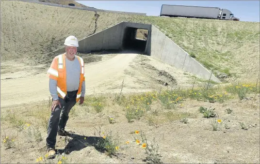  ?? WILL LESTER — STAFF PHOTOGRAPH­ER ?? Wildlife biologist Paul Gonzales stands near one of two wildlife tunnels being installed during the 60Freeway widening project in the Badlands area east of Moreno Valley on June 4. The tunnels, he said, will help a variety of wildlife species travel north and south without the hazards of crossing the freeway. Each underpass cost about $7.5million.