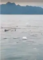  ??  ?? Eyesore: a screen grab of the floating litter in Langkawi waters.