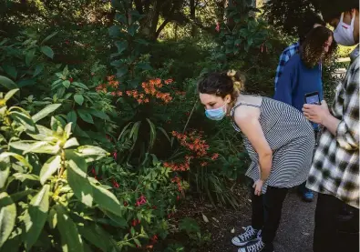  ?? Carlos Avila Gonzalez / The Chronicle ?? Shoshana (left) and brother Ezra Sturm stop to look at a bee as they explore Golden Gate Park with their parents, Ernesto Diaz-Infante and Marjorie Sturm.