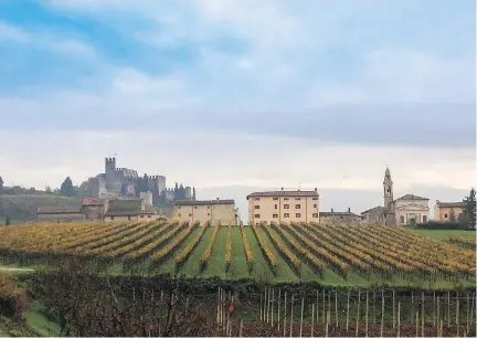  ?? BILL ZACHARKIW ?? The Soave Classico area is a small region dominated by challengin­g volcanic soils, which means the soil is poor and the vines struggle.