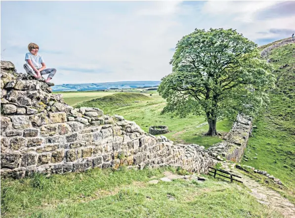  ?? ?? A boy sits on Hadrian’s Wall at Sycamore Gap, near Crag Lough in Northumber­land. The Roman structure is among many ancient sites threatened by a delay in conservati­on payments for farmers, the National Trust says