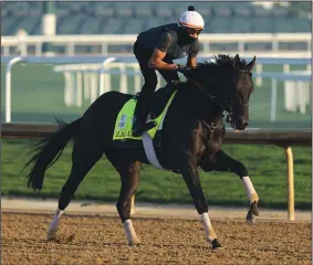  ?? ANDY LYONS/GETTY IMAGES ?? Zandon during the morning training for the Kentucky Derby at Churchill Downs on Monday in Louisville, Ky.