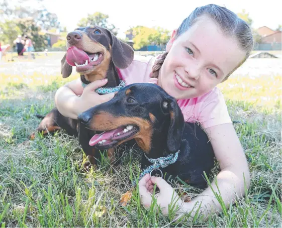  ?? Picture: MIKE BATTERHAM ?? Georgia Paine, 9, with her dogs Twixie (left) and Dixie during yesterday’s Dachshunds In Paradise gathering at Frascott Park at Varsity Lakes.