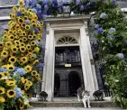  ?? PHOTO: REUTERS ?? Larry the cat stands in front of a floral display arch at the home of the British prime minister at 10 Downing St, London, to mark Ukraine’s Independen­ce Day.