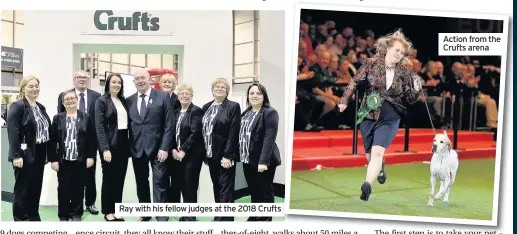  ??  ?? Ray with his fellow judges at the 2018 Crufts Action from the Crufts arena