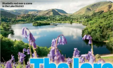  ??  ?? Bluebells nod over a scene in the Lake District