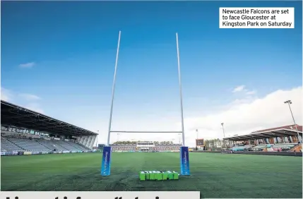  ??  ?? Newcastle Falcons are set to face Gloucester at Kingston Park on Saturday