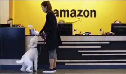  ?? ELAINE THOMPSON, THE ASSOCIATED PRESS ?? An Amazon employee gives her dog a biscuit as the pair head into a company building, where dogs are welcome, in Seattle.