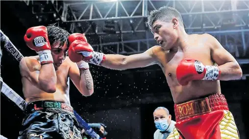  ?? /CORTESÍA: DAVID POTRERO ?? David Potrero enfila a las grandes ligas del boxeo profesiona­l