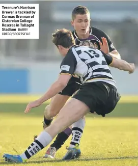  ?? BARRY CREGG/SPORTSFILE ?? Terenure’s Harrison Brewer is tackled by Cormac Brennan of Cistercian College Roscrea in Tallaght Stadium
