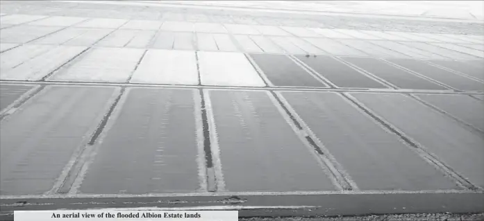  ??  ?? An aerial view of the flooded Albion Estate lands