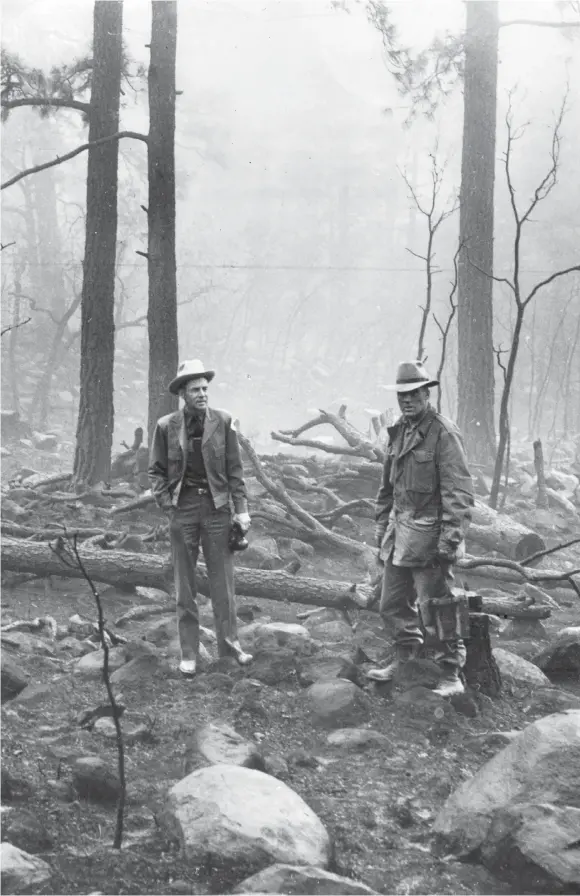  ?? UNITED STATES FOREST S E RV I C E , 1 9 5 0 . COURTESY O F THE PALAC E O F THE GOVERNORS PHOTO ARCHIVES ( NMHM/ DCA ) , N E G . NO. 0 2 9 6 7 1 ?? Forest Service personnel inspect damage on Capitan Mountain, Lincoln National Forest, which burned 17,000 acres in 1950. During the blaze, the Snowballs crew from Taos Pueblo rescued a tiny bear cub that became Smokey Bear.