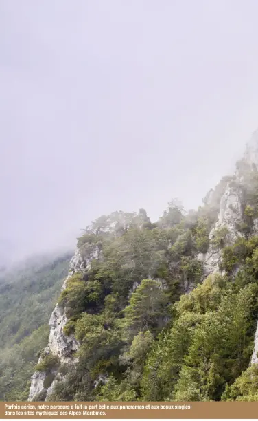  ??  ?? Parfois aérien, notre parcours a fait la part belle aux panoramas et aux beaux singles dans les sites mythiques des Alpes-maritimes.