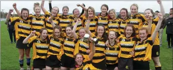  ??  ?? Rathnure celebrate their one-point Minor championsh­ip success.