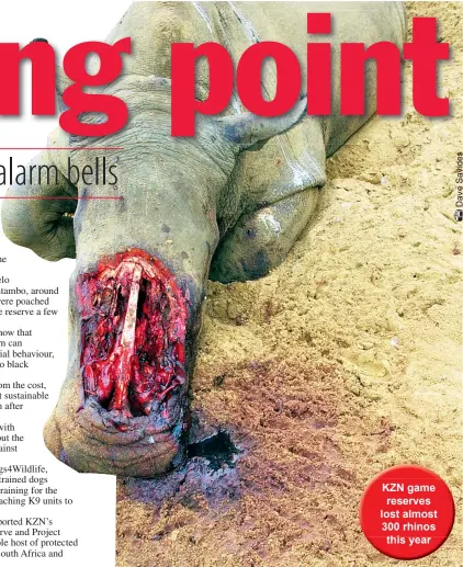  ?? ?? KZN game reserves lost almost 300 rhinos this year