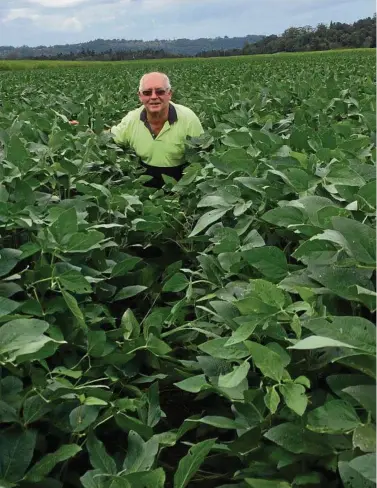  ??  ?? CLIMATE ACTION: Tweed Valley cane grower Robert Quirk, amid his soy rotation crop. He has turned climate change concerns into a raft of activities.