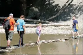  ?? JONATHAN TRESSLER — THE NEWS-HERALD ?? Eight-year-old Jacob Boehm, far right, leads the way as his family — from right, 6-yearold sister Chloe, his mom, Adrienne, and his dad, Rob — across Paine Creek at Indian Point Park in Leroy Township July 31.