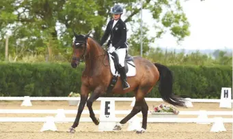  ??  ?? “He’s as wild as ever, and quite savage in the stable” – former top showjumper Attack II, 20, shows no signs of mellowing for new rider Kirsty Christophe­r, now competing in dressage