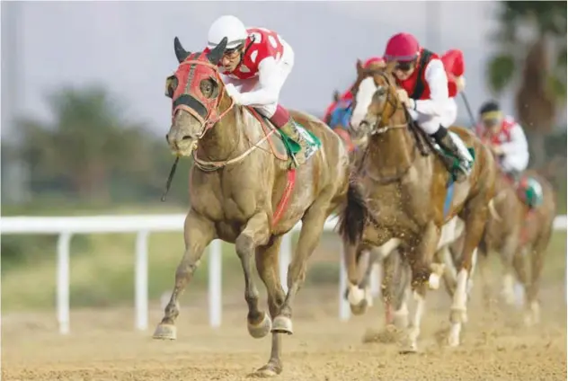  ?? Supplied photo ?? ↑ Al Ain Sprint will be the highlight of a seven-race card final meeting of the Al Ain season.