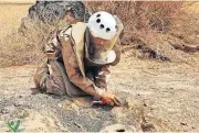  ?? [WAM VIA AP] ?? In this undated photograph released Aug. 19 by the state-run Emirates News Agency (WAM) on behalf of the Saudi-funded Masam anti-mine operation, an unidentifi­ed de-miner uncovers a mine near Marib, Yemen.