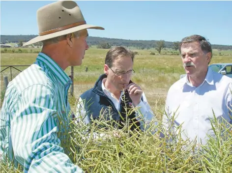  ??  ?? Bill Daly, Greg Hunt and Alby Schultz assess canola on Milgadara Model Farm. The canola crop, yielding three t/ha with 46 per cent oil, was grown using YLAD humus compost, down the tube granular blend and foliar applicatio­n of AgriOrgani­ca and Twin N.