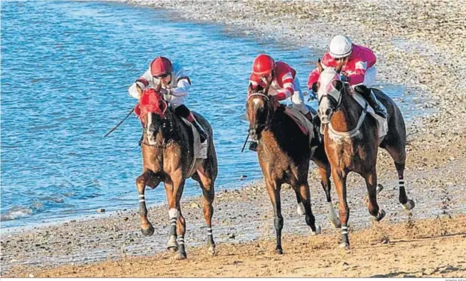  ?? ROMÁN RÍOS ?? El primer ciclo de carreras de caballos de Sanlúcar arranca este miércoles con cinco pruebas y 35 montas inscritas.