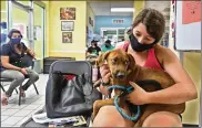  ?? SCOTT KEELER/TAMPA BAY TIMES/TNS ?? Sarah Logar, 23, of Tampa, Florida, spends time with her new dog after she adopted the animal from the Humane Society of Tampa Bay, Tampa, on July 15, 2020. Adoptions are up during the Coronaviru­s pandemic. A year later, he’s family.