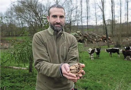  ?? | PHOTO : MATHIEU PATTIER, OUEST-FRANCE. ?? Anthony Vasseur valorise le bois des 6 km de haies de son exploitati­on d’Écommoy, dans la Sarthe, pour se chauffer et produire de la litière pour ses vaches.