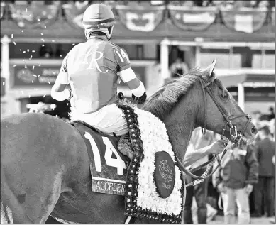  ?? EMILY SHIELDS ?? Accelerate’s win in the BC Classic marked him a legitimate contender for Horse of the Year.