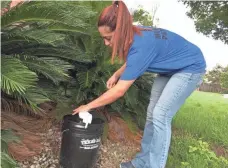  ?? PHOTOS BY RICK JERVIS, USA TODAY ?? Jessica Buitron, a recent graduate of Texas A&amp;M University­San Antonio, checks a mosquito trap for signs of the Aedes aegypti mosquito, the main carrier of the Zika virus. The research team is tracking the mosquito’s movements across San Antonio.