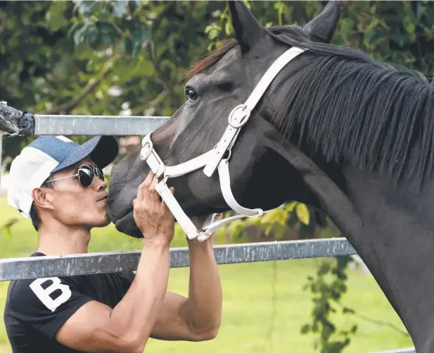  ??  ?? IT’S ALL IN THE NAME: Jockey Nor Yadi gives Kisser a smooch before he runs at the Einasleigh Race club meeting today. Picture: ANNA ROGERS