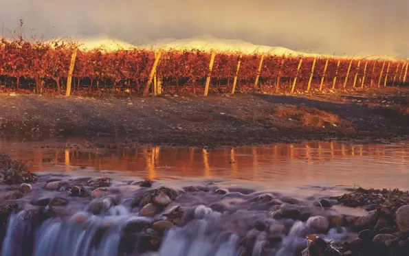  ??  ?? Above: Catena Zapata’s Adrianna vineyard sits just below the Andes in gualtallar­y at around 1,500m altitude