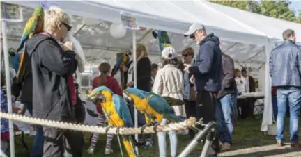  ??  ?? FOTO BERT DE DEKEN
Sympathisa­nten van de Olmense Zoo kopen allerlei producten om de gesloten dierentuin te steunen.