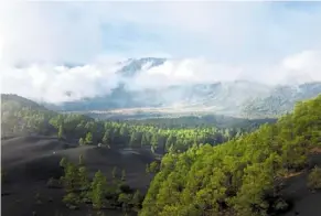  ?? ?? The island of La palma in spain has gained popularity among local and regional tourists, thanks to a volcano eruption that lasted 85 days last year. — aFp