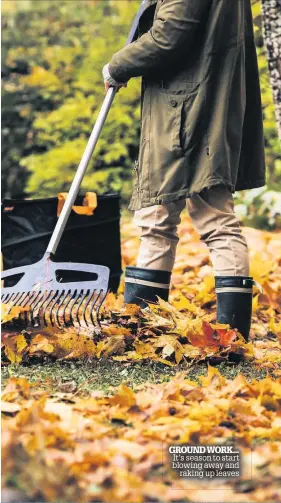  ??  ?? GROUND WORK... It’s season to start blowing away and raking up leaves