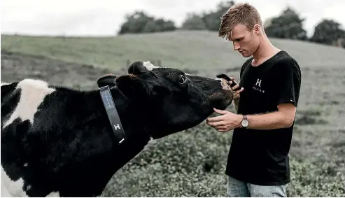  ??  ?? Halter chief executive Craig Piggott has developed a solarpower­ed collar to herd cows in the morning and monitor their health.